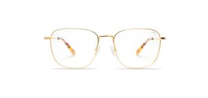 Max-Dourado-Frontal
